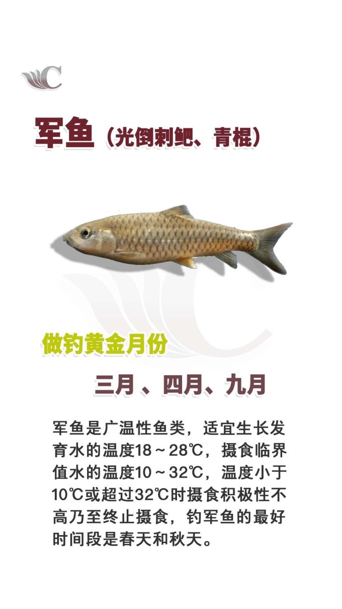 垂钓用品