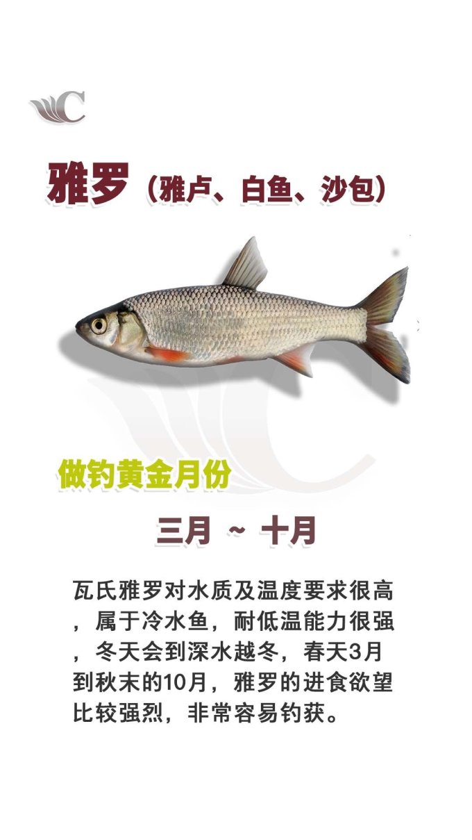 垂钓用品