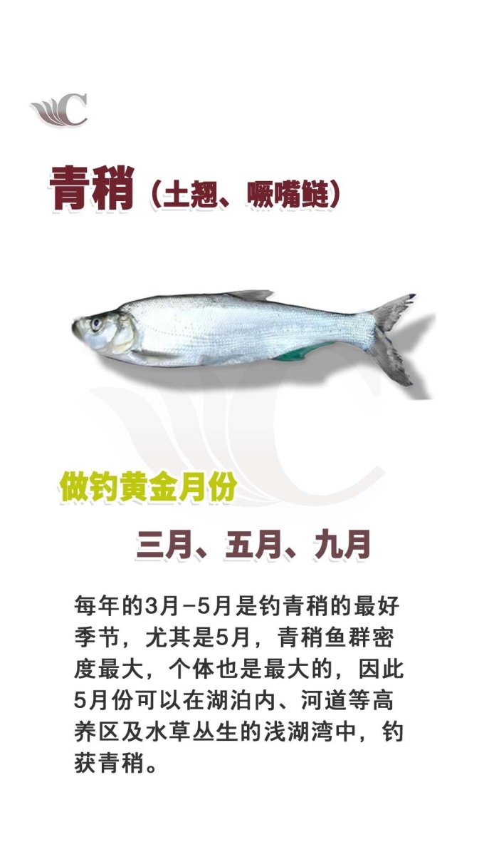 垂钓用品