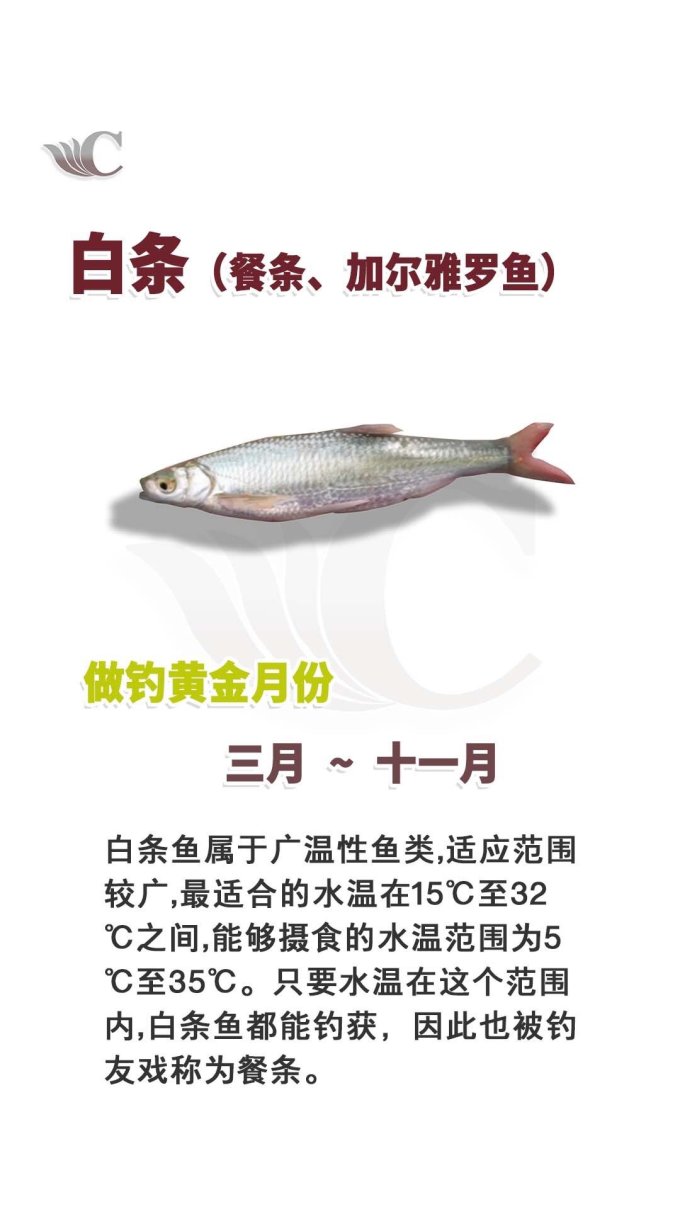 垂钓用品