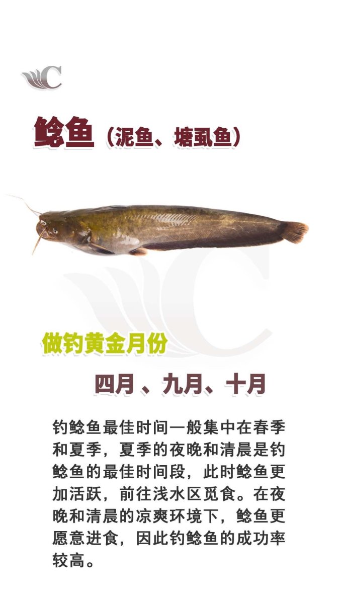 垂钓用品