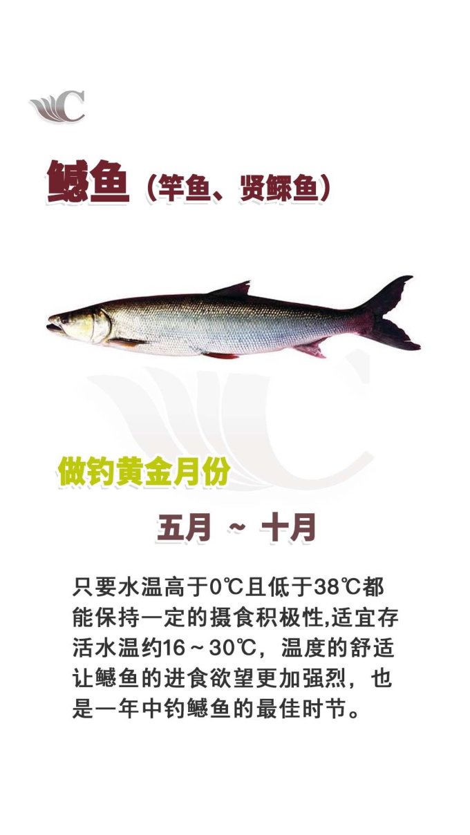 垂钓用品