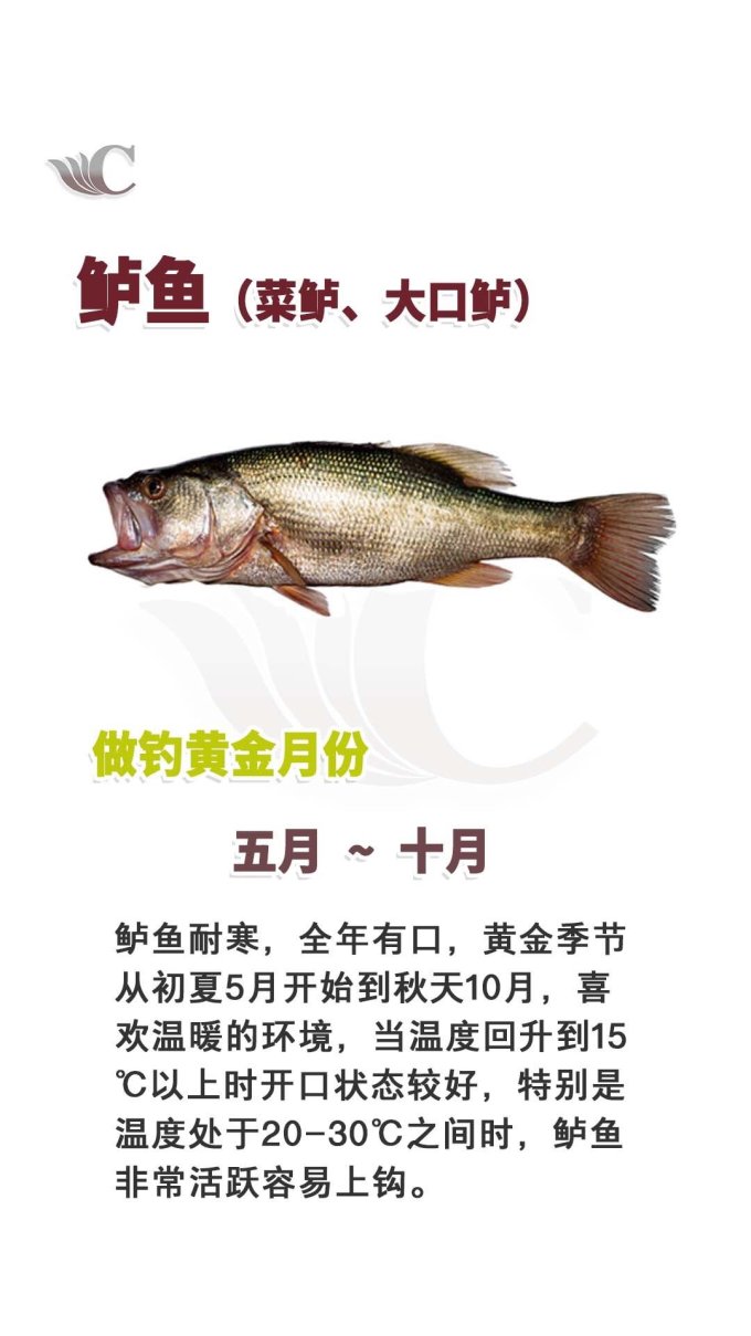 垂钓用品