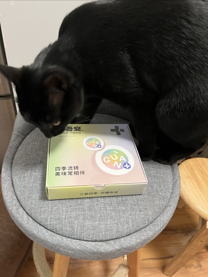猫咪湿粮/罐头