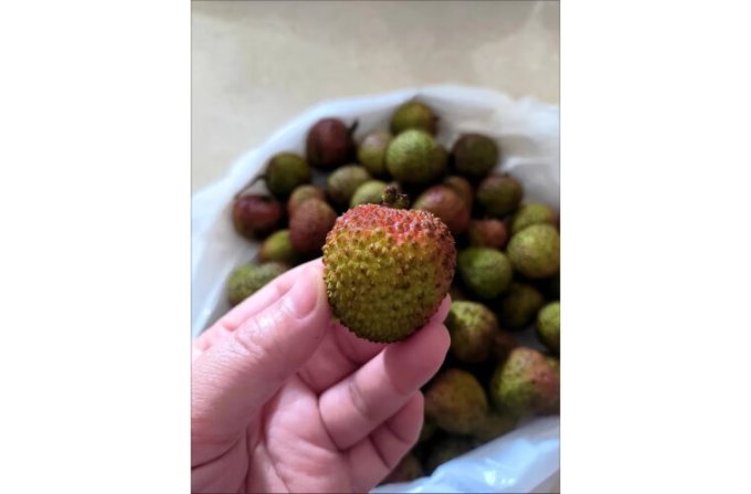 妃子笑新鲜水果