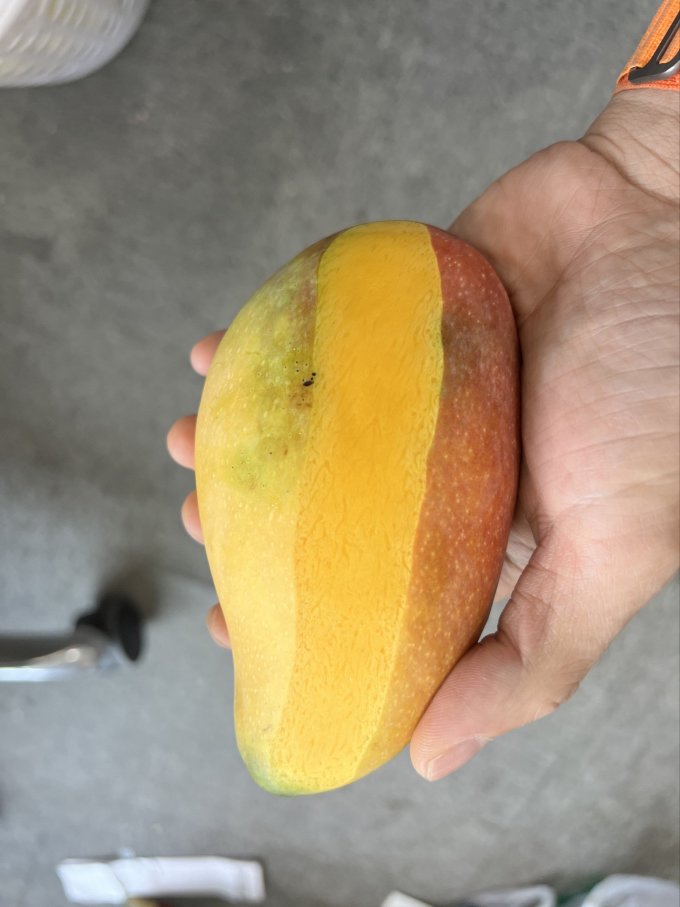 京鲜生芒果