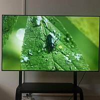 被行业内人称“显微屏”的Mini LED影院级电视——东芝电视Z700NF怎么样？今天实测见真章！