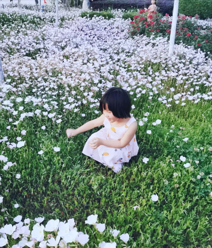 华为鸿蒙手机