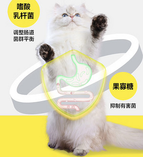 猫咪吃得根本停不下来，太香了