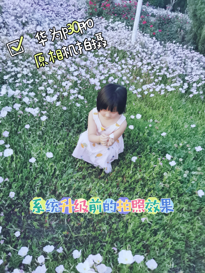 华为鸿蒙手机