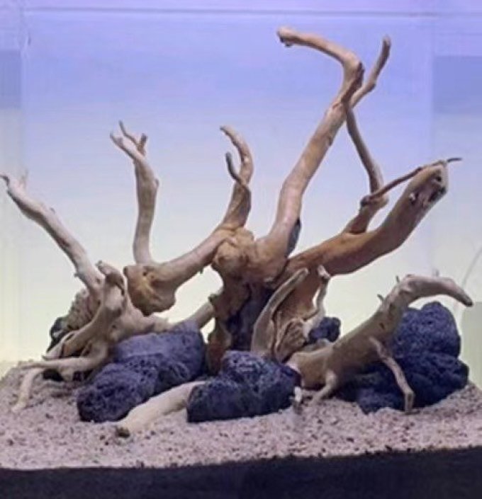 燕之雁造景装饰