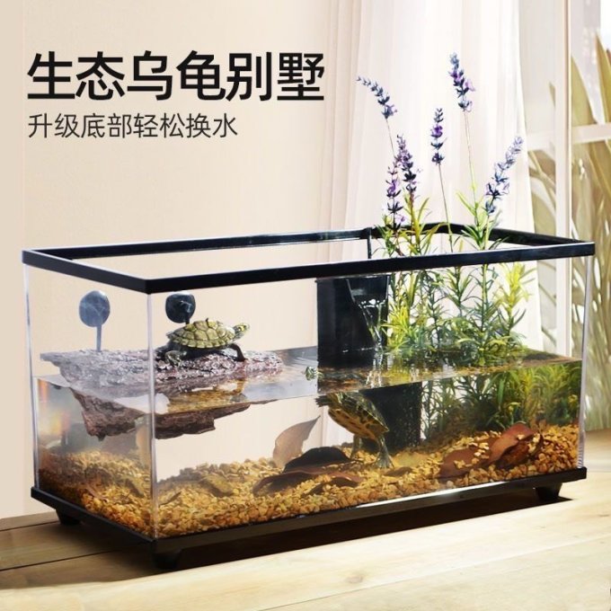 塑料乌龟缸很实用