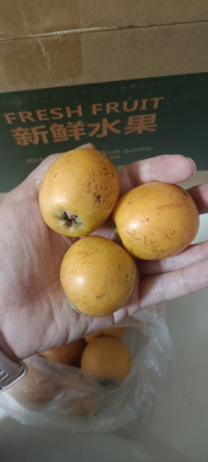 鑫汇利新鲜水果