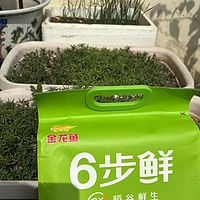 🌾探寻金龙鱼特供长粒香米的东北韵味🍚