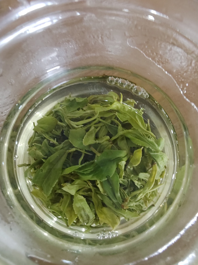 狗牯脑绿茶