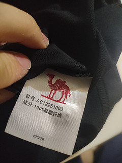 618 给自己买了件 polo 衫