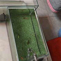 i鱼v，YEE鱼缸金晶超白鱼缸客厅桌面小鱼缸玻璃草缸龟缸家用小型生态金鱼缸