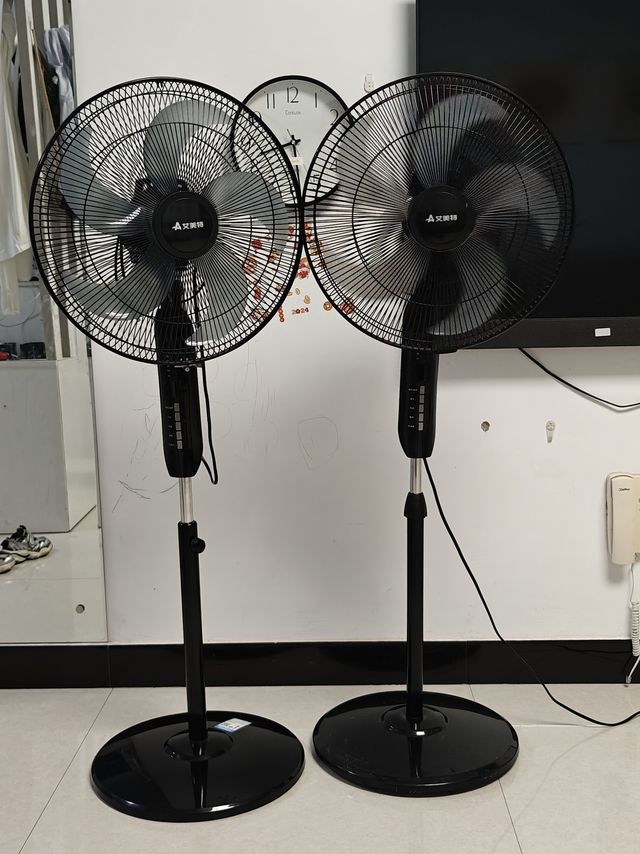 夏天还是得靠你俩