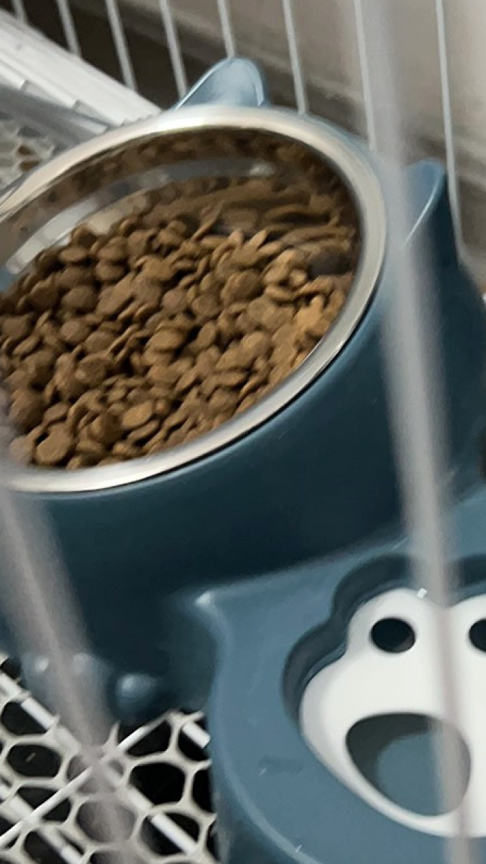 悠梵萌通用食具水具