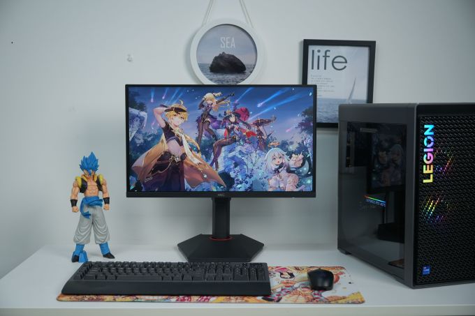 显示器