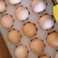 黄天鹅的可生食鲜鸡蛋更营养更美味
