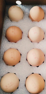 黄天鹅的可生食鲜鸡蛋更营养更美味