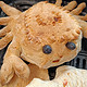 用面粉制作眉清目秀的大螃蟹