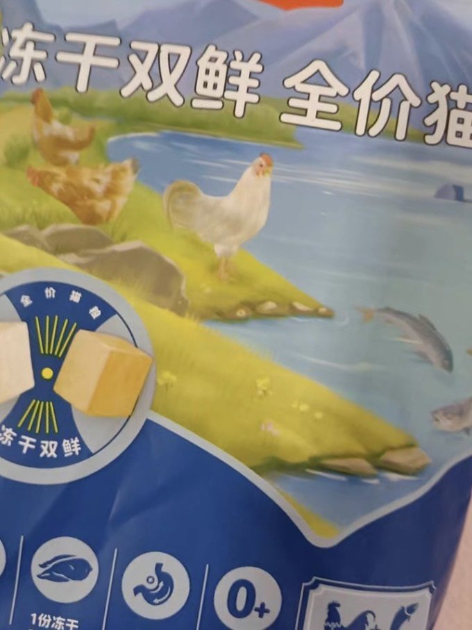 猫咪干粮