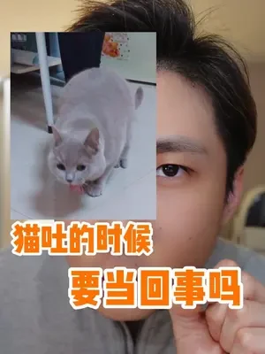 猫吐的时候要不要当回事？有些情况就别上网乱搜了....#猫吐毛球 #科学养猫