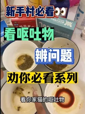 全程高能了属实是….#科学养宠攻略 #新手养猫 #希望能帮到有需要的人 #萌宠百科 #新手养猫 @抖音创作者中心 @抖音小助手