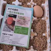 1.9买的15只鸡蛋
