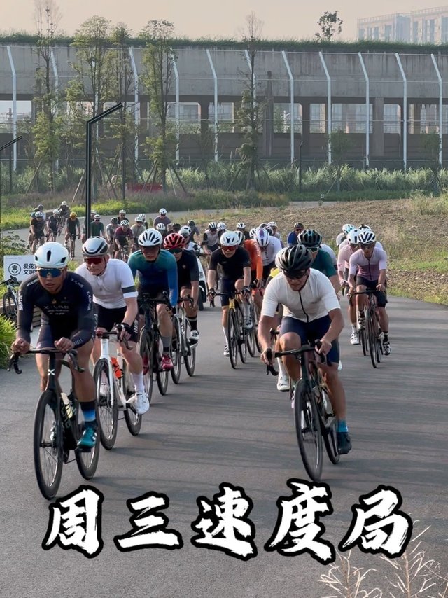 Pro Bicycle每周三早速度局