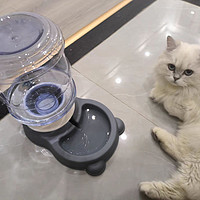 狗狗饮水机猫自动喂食器狗喂水猫咪喝水流动水不插电水壶宠物用品