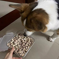 狗狗冻干零食宠物泰迪小型幼犬训练奖励用鸡肉干猫咪增肥发腮用品
