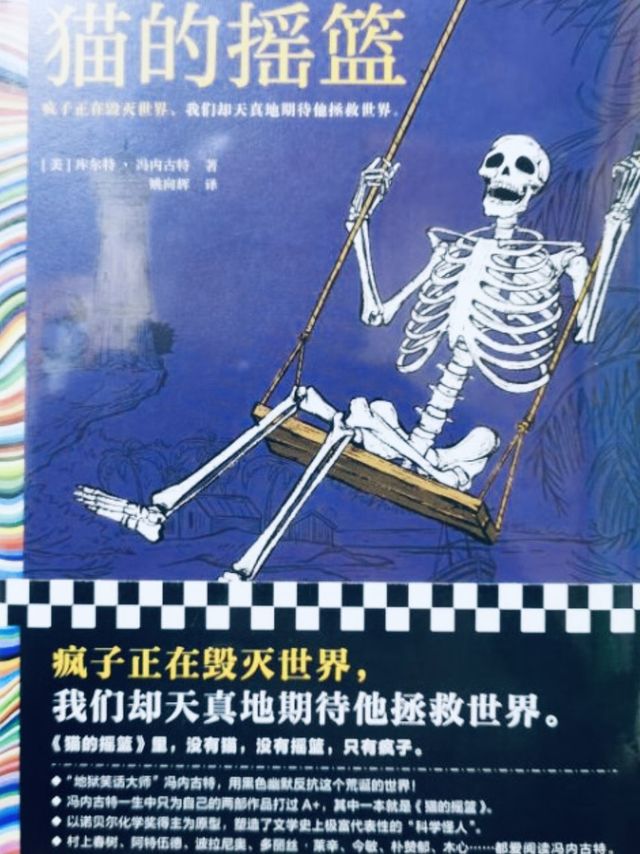 猫咪的奇妙世界