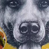 狗罐头 - 营养又方便的宠物食品