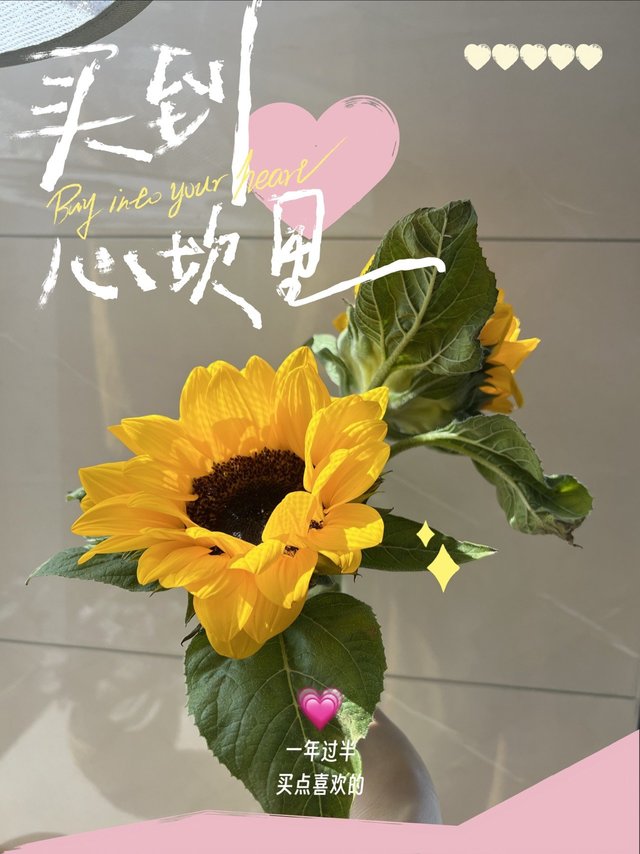 618我买了它，美丽向阳的花花🌸