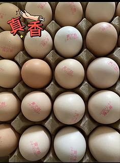【黄天鹅可生食鸡蛋】🥚，美味与健康兼得！🎉