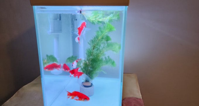 森森智能鱼缸/水族箱