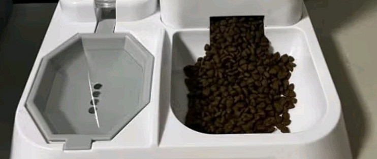 自动喂食器与猫咪的温馨相伴
