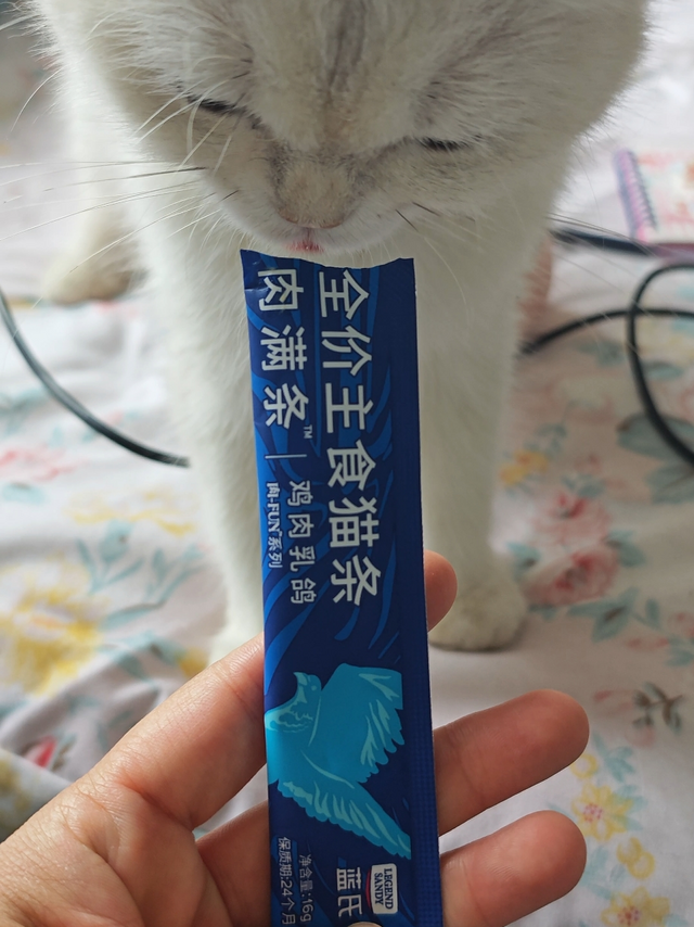 无需多言，猫孩子就好这口