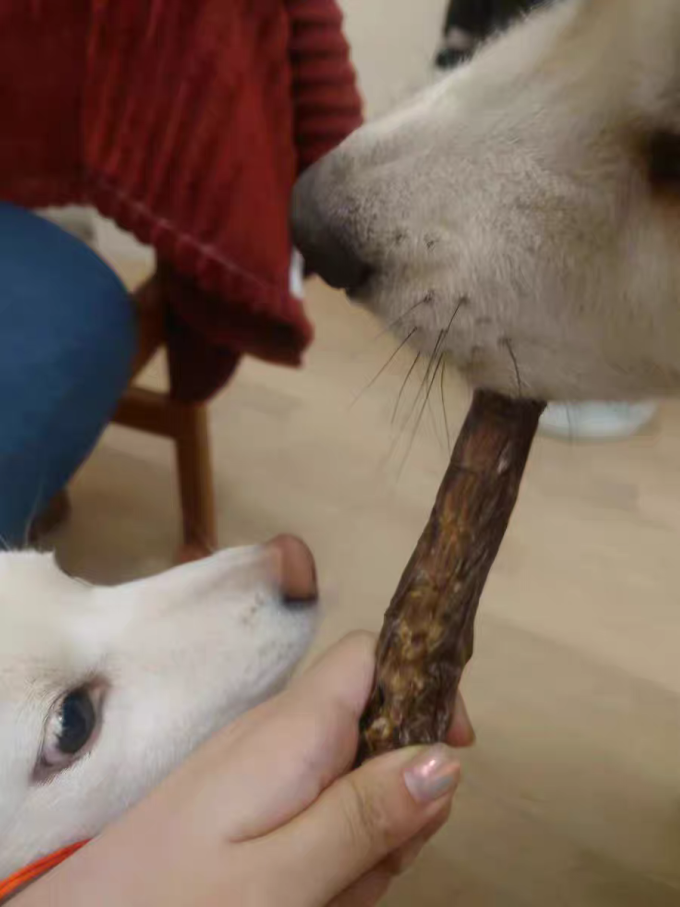 凡可奇猫零食