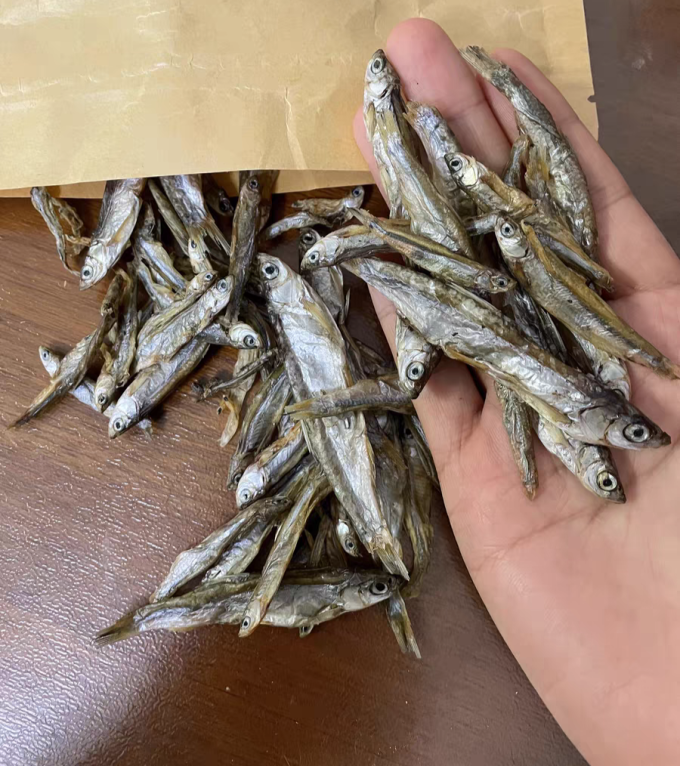 萌小贝猫零食