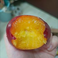 618种草大会，甜蜜油桃上市啦