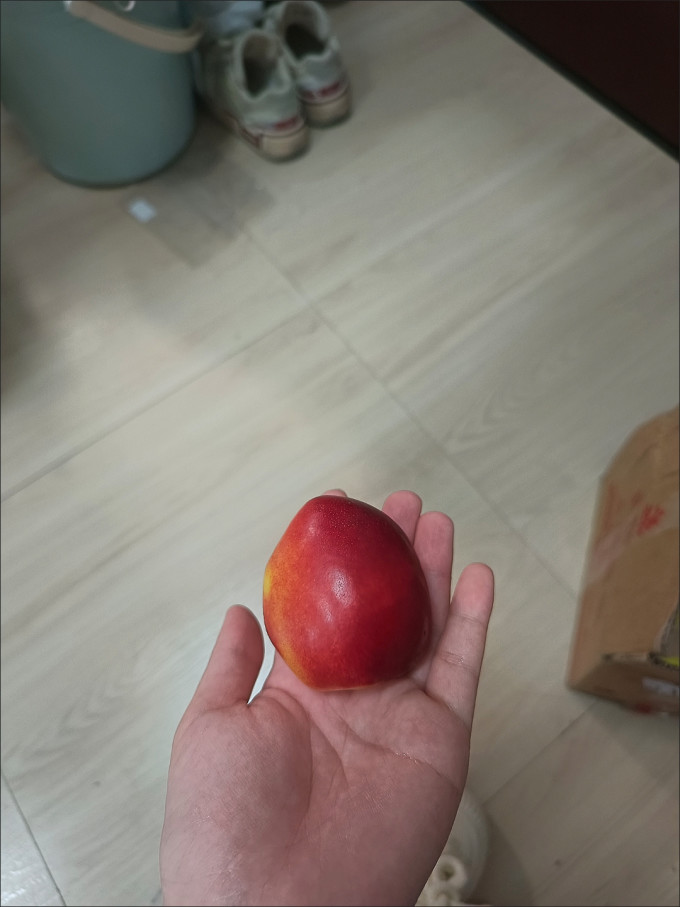 鲜姿其他水果
