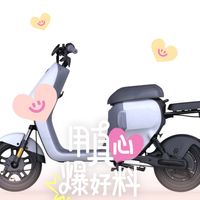 开到村里的专卖店：九号电动车