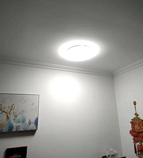 德力西（DELIXI）LED吸顶灯客厅卧室灯现代简约超薄房间客卧灯圆形节能灯具阳台灯 【全白24W冷白光】