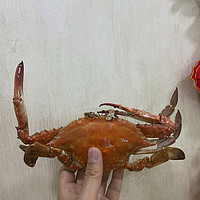 比手掌还大的梭子蟹才40元一斤，这个618我要吃个够！
