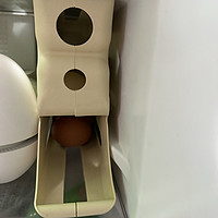 不可思议的鸡蛋盒子！