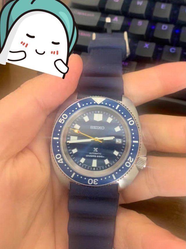 价格不贵但是颜值可以啊